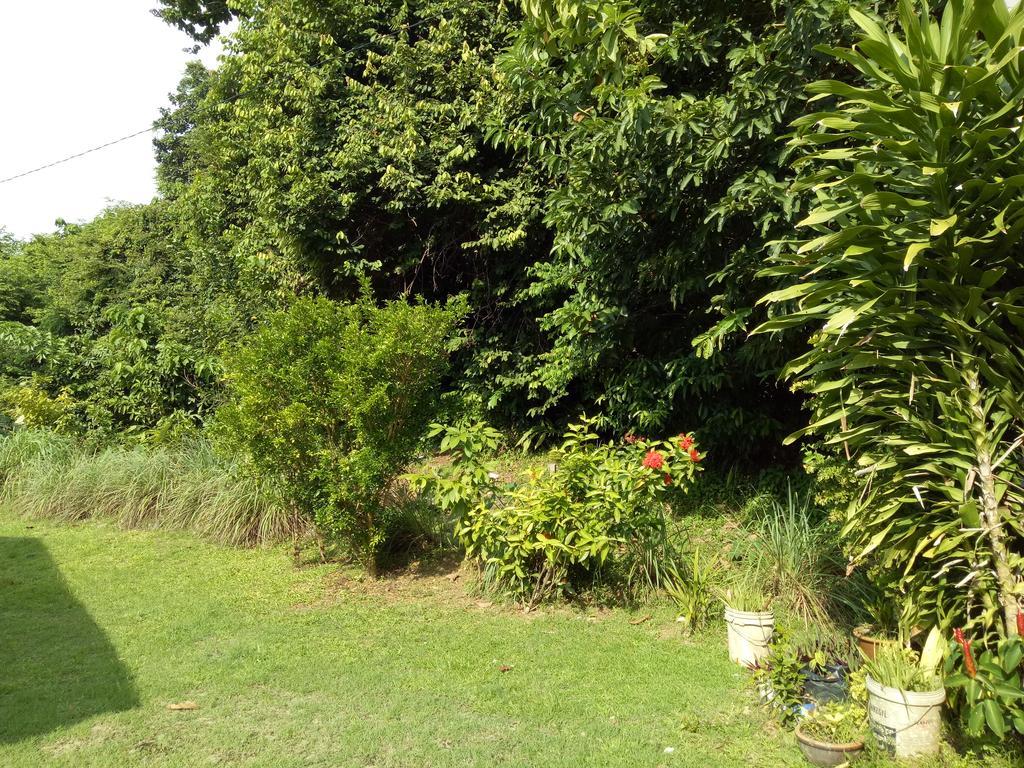 Nas Villaria Langkawi Pantai Cenang  Exteriör bild